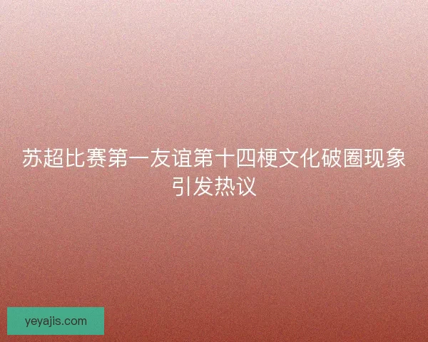 苏超比赛第一友谊第十四梗文化破圈现象引发热议